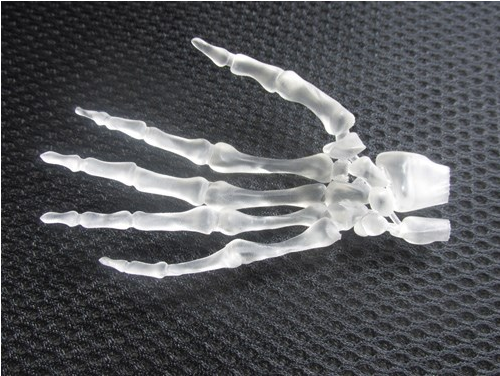 3D打印特制透明手骨