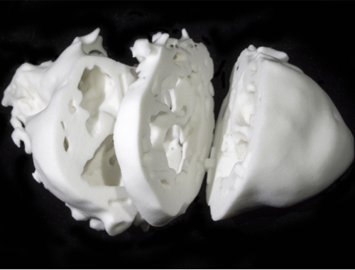 被分割的骨头，3D打印