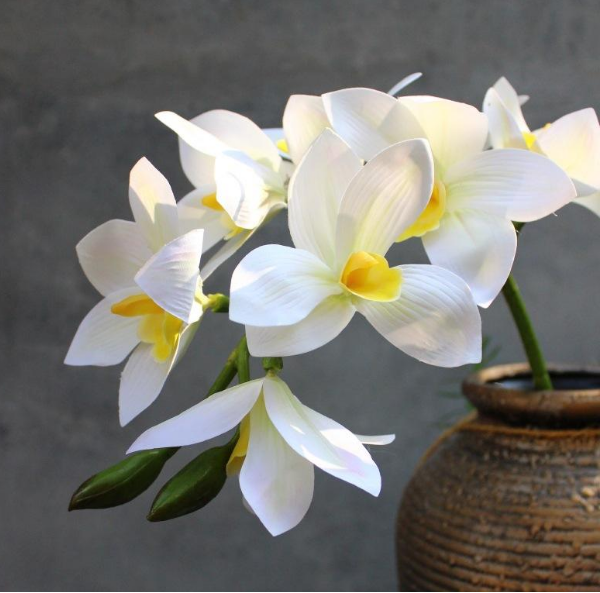 洁白美丽的花朵打印产品，3D打印的以假乱真的花朵