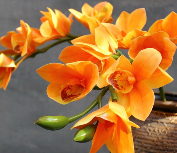 看的出来这是3D打印的花朵吗？惊喜的打印产品