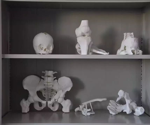 3D打印的医疗模拟用具展示