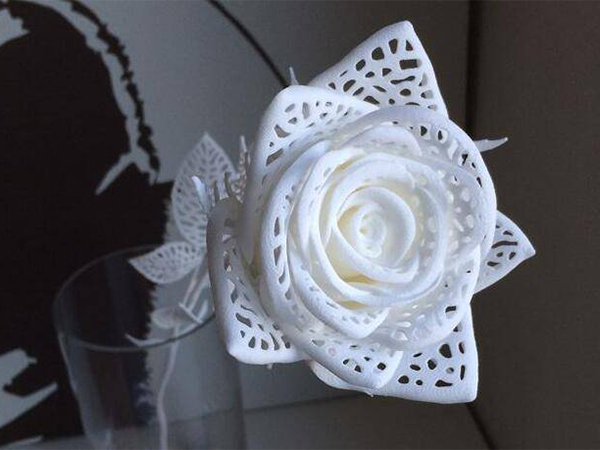 3D打印的花朵，树脂材料打印的镂空花朵