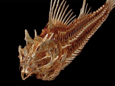 3D扫描建模绘图