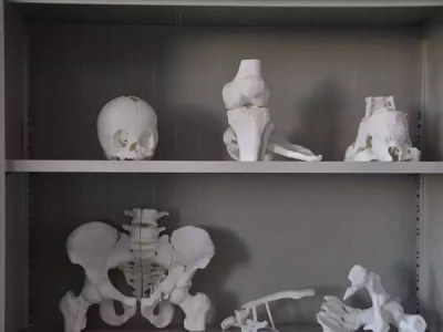 3D打印的医疗模拟用品